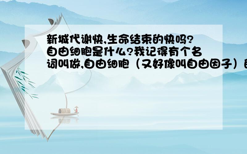 新城代谢快,生命结束的快吗?自由细胞是什么?我记得有个名词叫做,自由细胞（又好像叫自由因子）的,人之所以衰老就是因为它,谁可以稍微解释下这个东西,几年前的东西现在我都忘的差不多