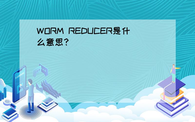 WORM REDUCER是什么意思?