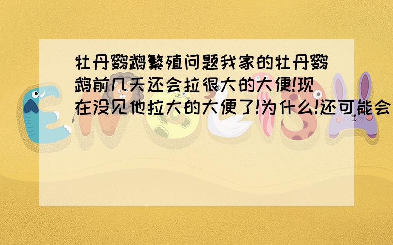 牡丹鹦鹉繁殖问题我家的牡丹鹦鹉前几天还会拉很大的大便!现在没见他拉大的大便了!为什么!还可能会生吗?加入有我满意的答案我会给更多分!还有什么要生蛋的特征!假如生蛋了我把说有的