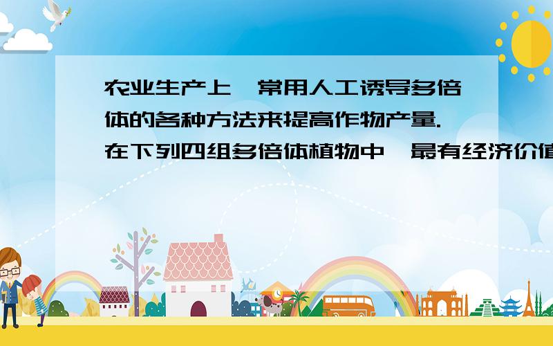 农业生产上,常用人工诱导多倍体的各种方法来提高作物产量.在下列四组多倍体植物中,最有经济价值的一组是A.玉米和大豆B.甘蔗和甜菜C.水稻和棉花D.油菜和花生为什么?