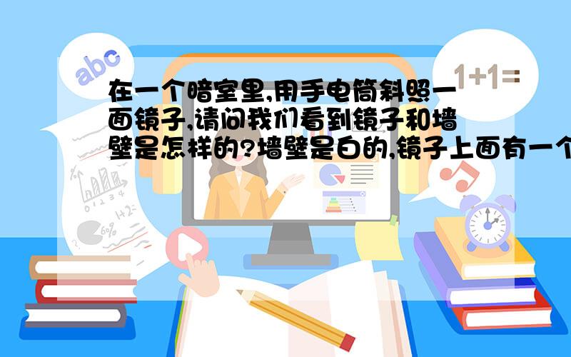 在一个暗室里,用手电筒斜照一面镜子,请问我们看到镜子和墙壁是怎样的?墙壁是白的,镜子上面有一个光斑,请问那镜子算不算是白的?