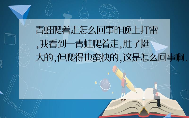 青蛙爬着走怎么回事昨晚上打雷,我看到一青蛙爬着走,肚子挺大的,但爬得也蛮快的,这是怎么回事啊.