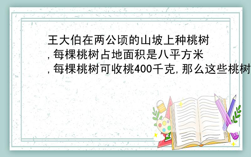 王大伯在两公顷的山坡上种桃树,每棵桃树占地面积是八平方米,每棵桃树可收桃400千克,那么这些桃树可以收桃多少千克?