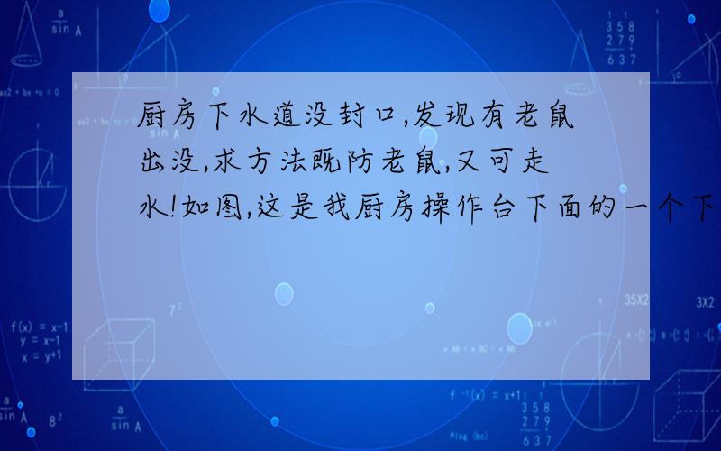 厨房下水道没封口,发现有老鼠出没,求方法既防老鼠,又可走水!如图,这是我厨房操作台下面的一个下水道,大概5cm*5cm的洞口,晚上发现有老鼠从里面出来.想要把这个洞口堵住防止老鼠上来!需要