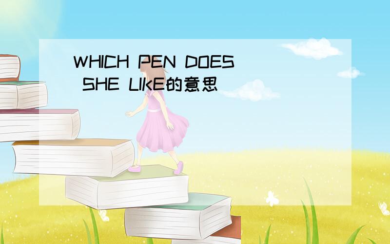 WHICH PEN DOES SHE LIKE的意思