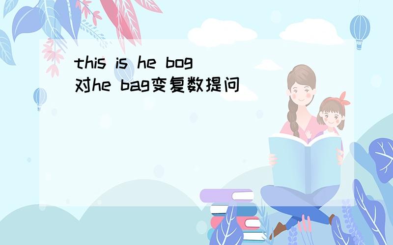 this is he bog对he bag变复数提问