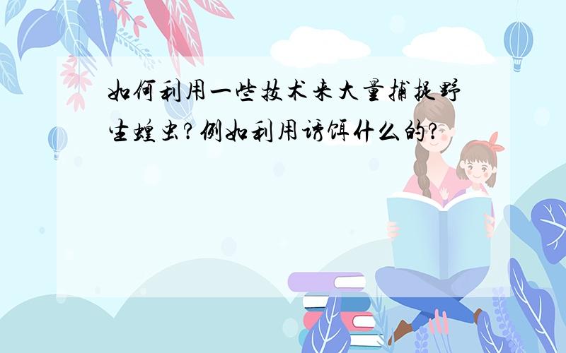 如何利用一些技术来大量捕捉野生蝗虫?例如利用诱饵什么的?