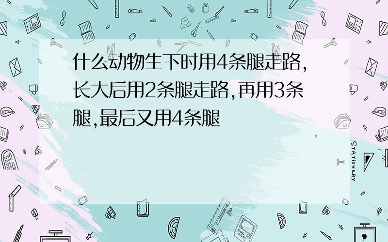 什么动物生下时用4条腿走路,长大后用2条腿走路,再用3条腿,最后又用4条腿