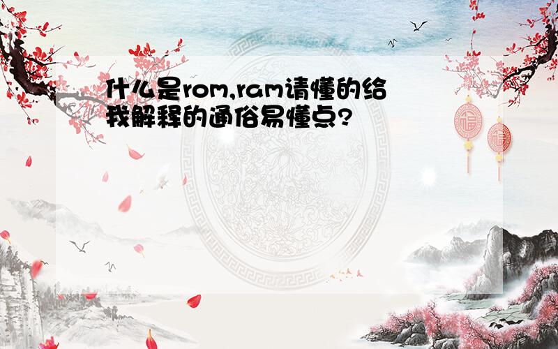 什么是rom,ram请懂的给我解释的通俗易懂点?