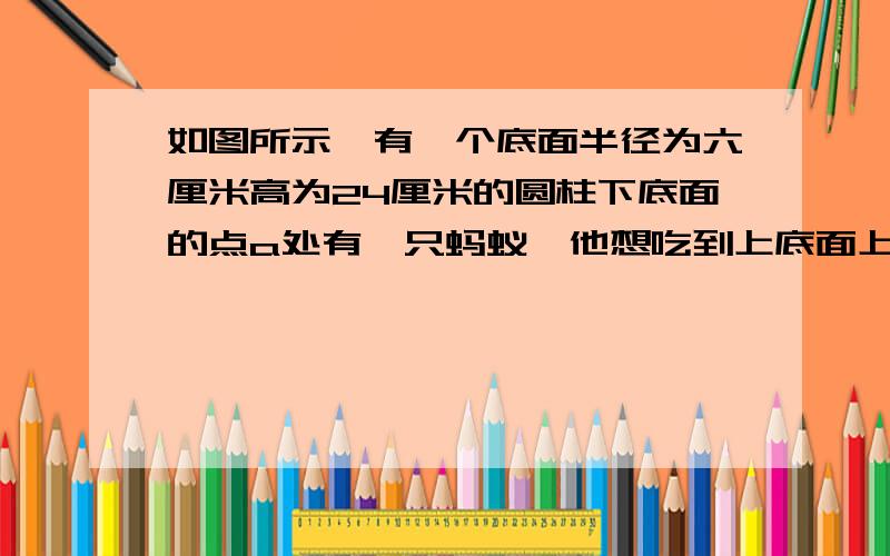 如图所示,有一个底面半径为六厘米高为24厘米的圆柱下底面的点a处有一只蚂蚁,他想吃到上底面上与点a相对的点的处的型号,再放回到点a处休息,请问这只蚂蚁需爬行的最短路程是多少?（圆周