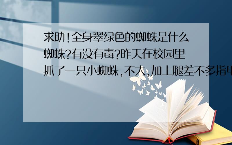 求助!全身翠绿色的蜘蛛是什么蜘蛛?有没有毒?昨天在校园里抓了一只小蜘蛛,不大,加上腿差不多指甲盖大小.但是全身翠绿,非常好看,颜色很鲜艳.有没有哪位高手知道这是什么蜘蛛?有没有毒?