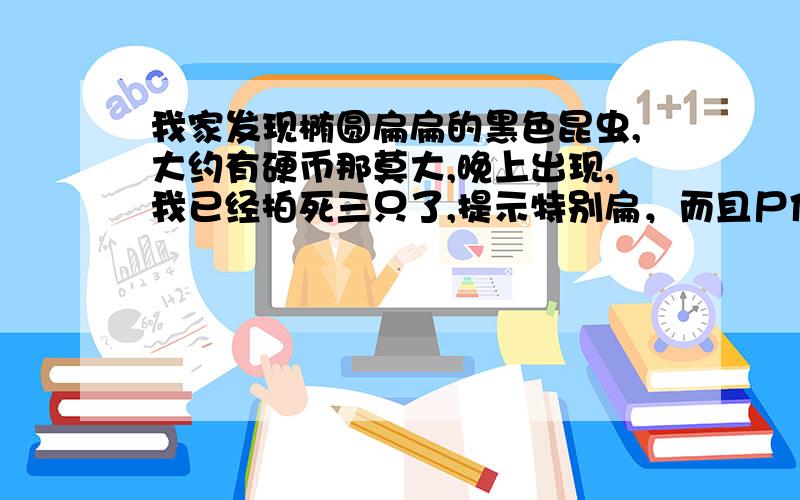 我家发现椭圆扁扁的黑色昆虫,大约有硬币那莫大,晚上出现,我已经拍死三只了,提示特别扁，而且尸体里没什么液体