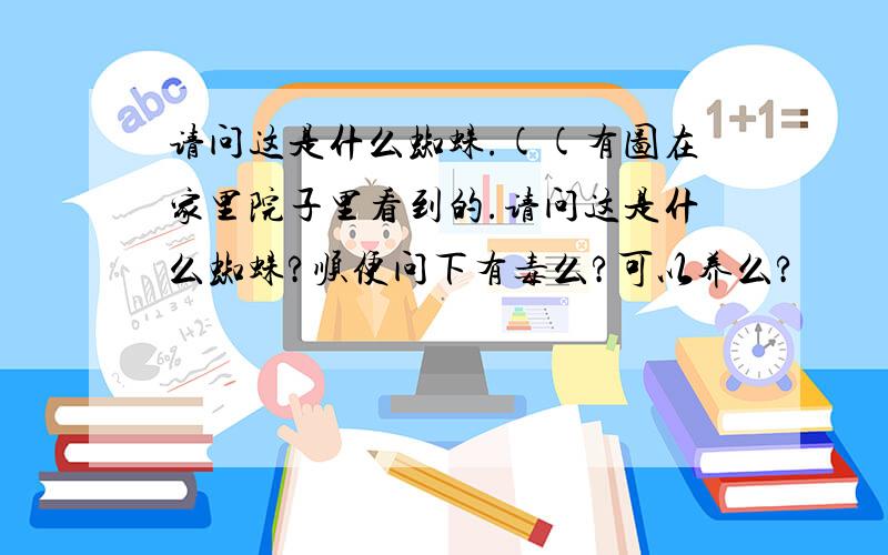 请问这是什么蜘蛛.((有图在家里院子里看到的.请问这是什么蜘蛛?顺便问下有毒么?可以养么?