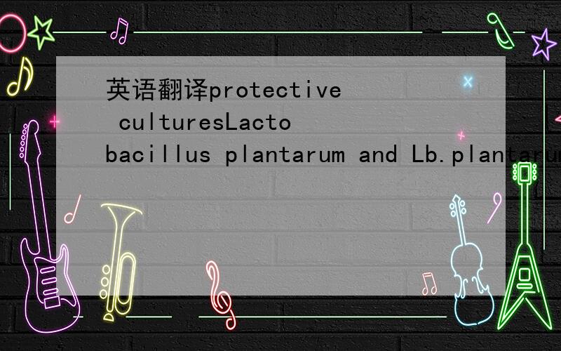 英语翻译protective culturesLactobacillus plantarum and Lb.plantarum/pentosusLactobacillus curvatus,Lactobacillus sakei（特别是这个）还有green table olivesThe strains selected as starter or protective cultures must have themost important