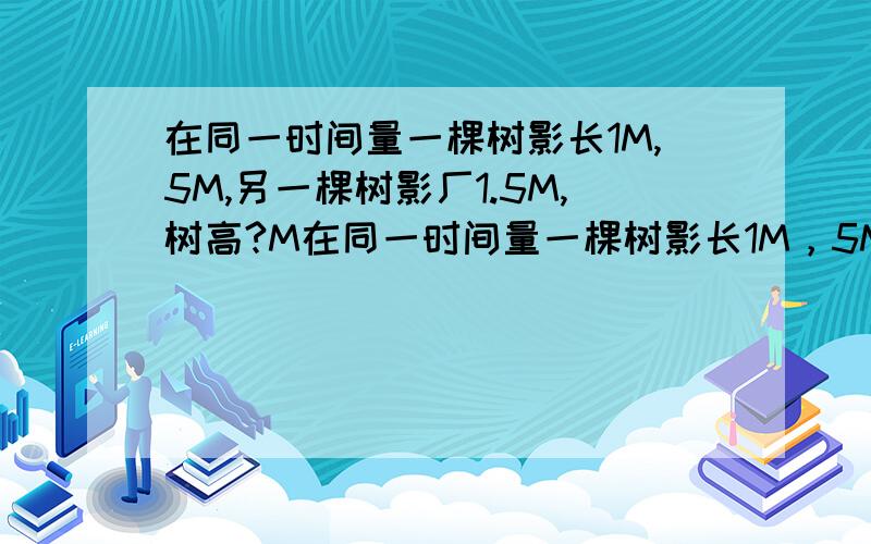 在同一时间量一棵树影长1M,5M,另一棵树影厂1.5M,树高?M在同一时间量一棵树影长1M，5M，另一棵树影长1.5M，树高？M