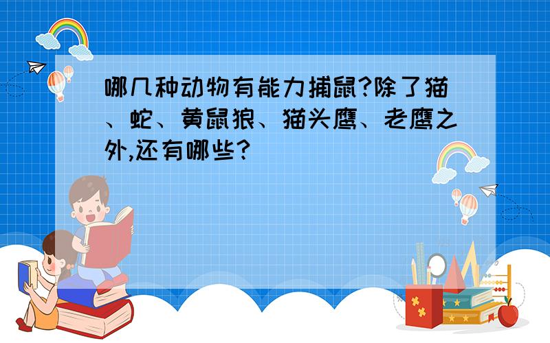 哪几种动物有能力捕鼠?除了猫、蛇、黄鼠狼、猫头鹰、老鹰之外,还有哪些?