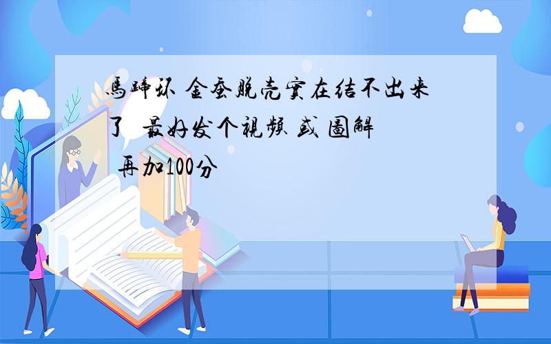 马蹄环 金蚕脱壳实在结不出来了  最好发个视频 或 图解  再加100分