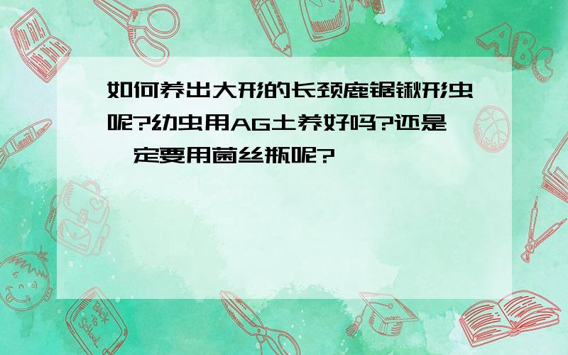 如何养出大形的长颈鹿锯锹形虫呢?幼虫用AG土养好吗?还是一定要用菌丝瓶呢?