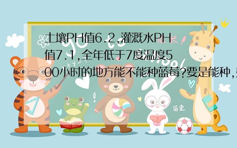 土壤PH值6.2,灌溉水PH值7.1,全年低于7度温度500小时的地方能不能种蓝莓?要是能种,如何分别改良土壤和灌溉水才能增加产量和质量