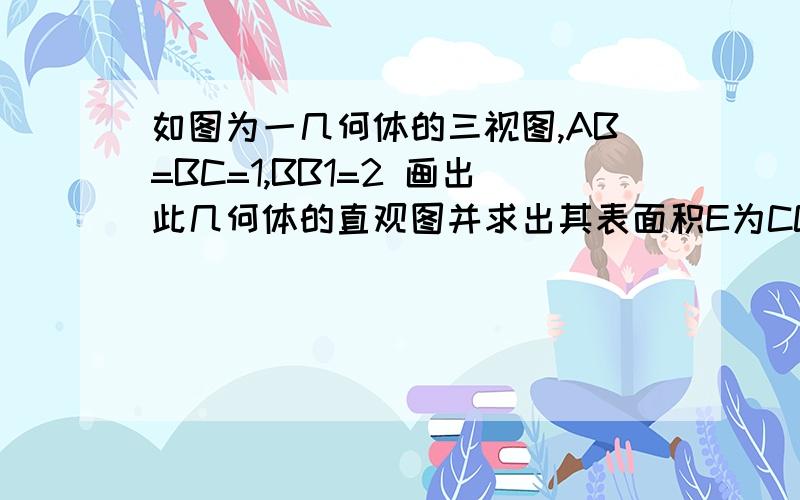 如图为一几何体的三视图,AB=BC=1,BB1=2 画出此几何体的直观图并求出其表面积E为CC1上一点,设CE比CC1=X,求三棱锥B-AEC的体积V(x）,并求V(x）的值域