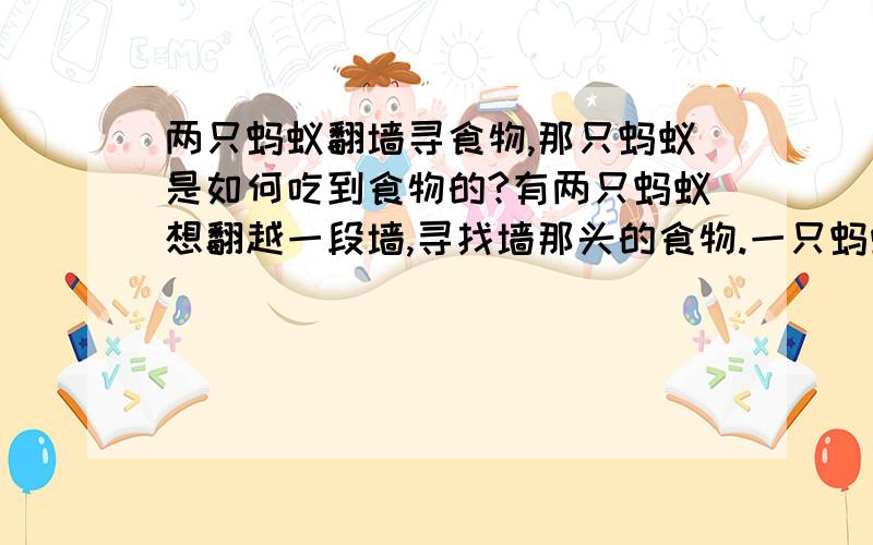 两只蚂蚁翻墙寻食物,那只蚂蚁是如何吃到食物的?有两只蚂蚁想翻越一段墙,寻找墙那头的食物.一只蚂蚁来到墙脚就毫不犹豫地向上爬去,可是每当它爬到大半时,就会由于劳累、疲倦而跌落下