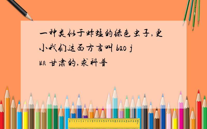 一种类似于蚱蜢的绿色虫子,更小我们这面方言叫 bao jun 甘肃的,求科普