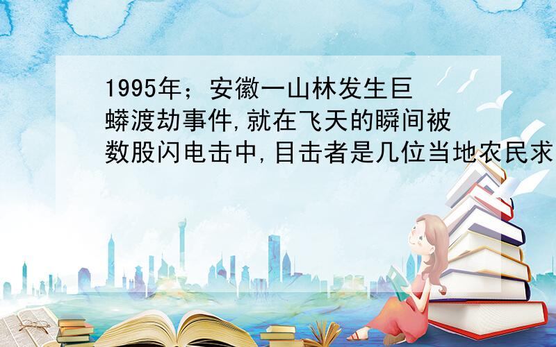 1995年；安徽一山林发生巨蟒渡劫事件,就在飞天的瞬间被数股闪电击中,目击者是几位当地农民求案情!