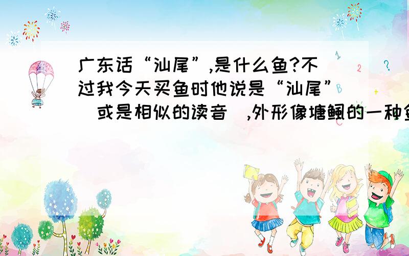 广东话“汕尾”,是什么鱼?不过我今天买鱼时他说是“汕尾”（或是相似的读音）,外形像塘鲺的一种鱼...