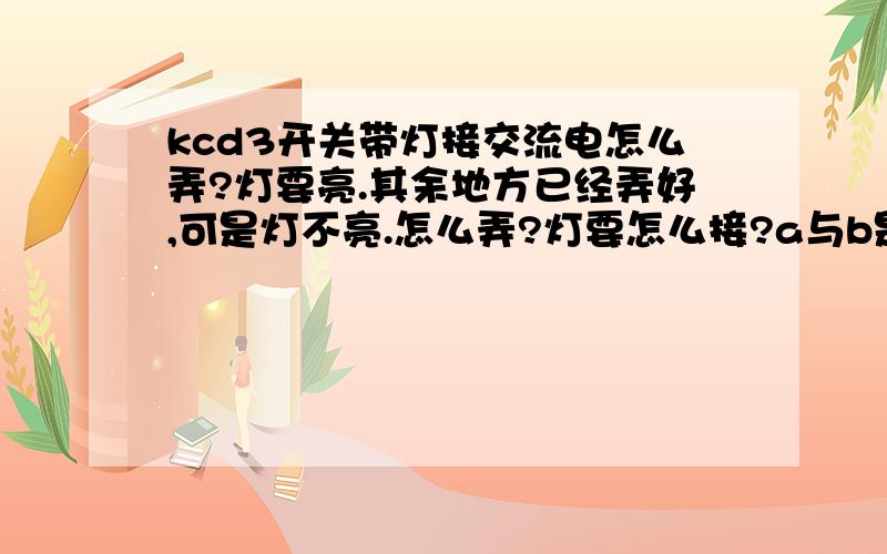 kcd3开关带灯接交流电怎么弄?灯要亮.其余地方已经弄好,可是灯不亮.怎么弄?灯要怎么接?a与b是通的,a与c不通,开关没问题.