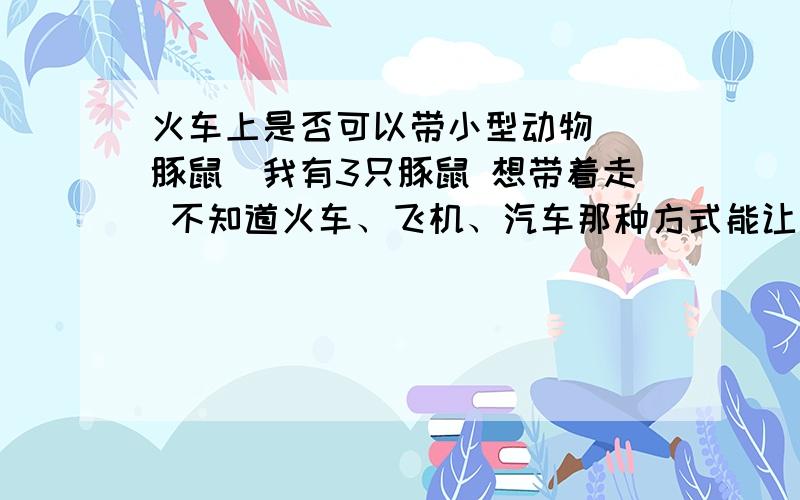 火车上是否可以带小型动物 （豚鼠）我有3只豚鼠 想带着走 不知道火车、飞机、汽车那种方式能让我带上车求赐教