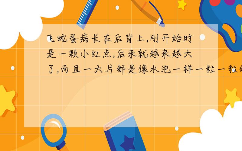 飞蛇蛋病长在后背上,刚开始时是一颗小红点,后来就越来越大了,而且一大片都是像水泡一样一粒一粒的,后背也会很痛.请问有谁知道怎样才可以治疗好啊.还是有什么可以吃的或是擦的药可以