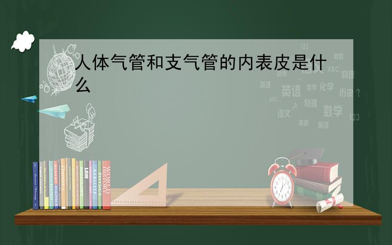 人体气管和支气管的内表皮是什么