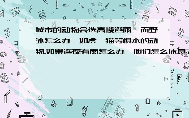 城市的动物会选高楼避雨,而野外怎么办,如虎,猫等惧水的动物.如果连夜有雨怎么办,他们怎么休息?