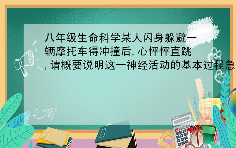 八年级生命科学某人闪身躲避一辆摩托车得冲撞后,心怦怦直跳,请概要说明这一神经活动的基本过程急求~~!