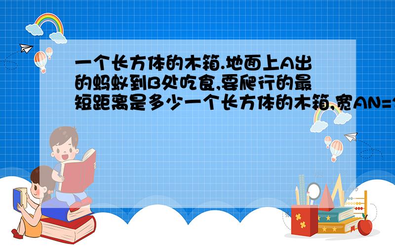 一个长方体的木箱.地面上A出的蚂蚁到B处吃食,要爬行的最短距离是多少一个长方体的木箱,宽AN=2cm,ND=10cm,CD上的点B距地面的高BD=6cm.地面上A处得一致蚂蚁到B处吃食,要爬行的最短距离是多少?