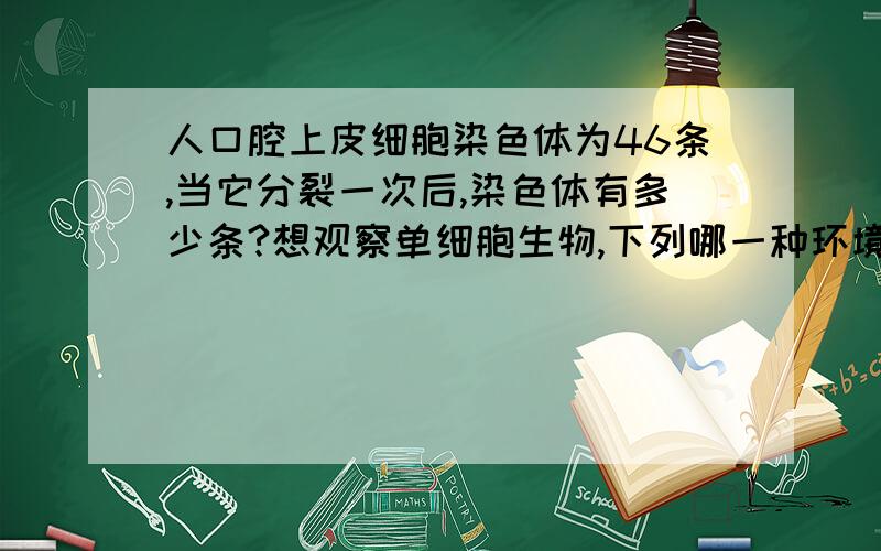 人口腔上皮细胞染色体为46条,当它分裂一次后,染色体有多少条?想观察单细胞生物,下列哪一种环境中容易获得生物标本（1）有机质丰富的地方 （2）水流平缓的地方（3）有水的地方都可以（