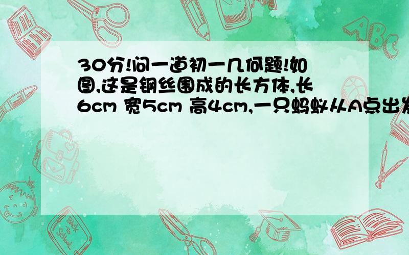 30分!问一道初一几何题!如图,这是钢丝围成的长方体,长6cm 宽5cm 高4cm,一只蚂蚁从A点出发沿棱爬行,每条棱不许重复,当回到A时,最多爬多少?把走的顺序按字母顺序表示出来.