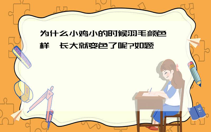 为什么小鸡小的时候羽毛颜色一样,长大就变色了呢?如题