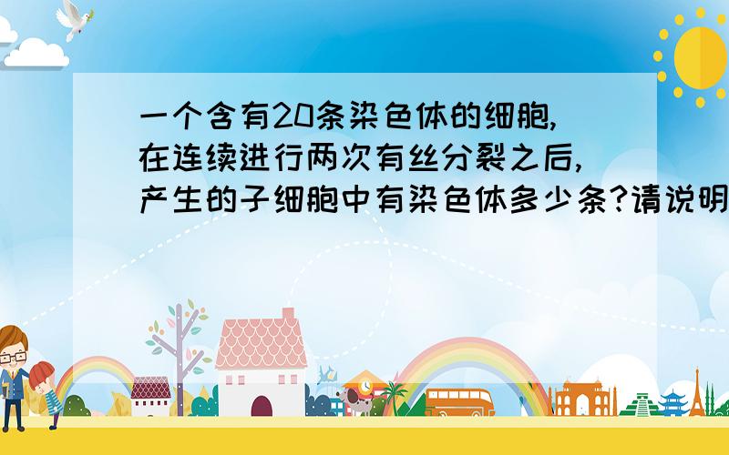 一个含有20条染色体的细胞,在连续进行两次有丝分裂之后,产生的子细胞中有染色体多少条?请说明原因