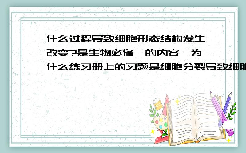 什么过程导致细胞形态结构发生改变?是生物必修一的内容　为什么练习册上的习题是细胞分裂导致细胞的形态结构发生改变而不是细胞分化呢那细胞分裂导致结构变化为什么正确？