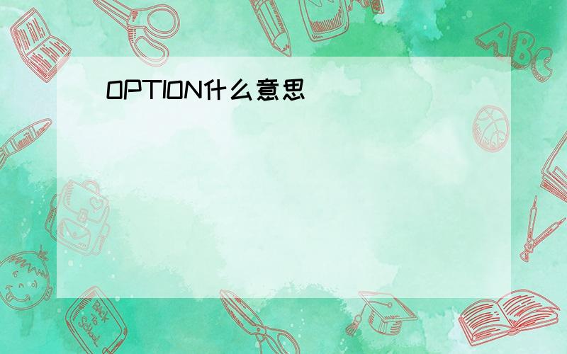 OPTION什么意思