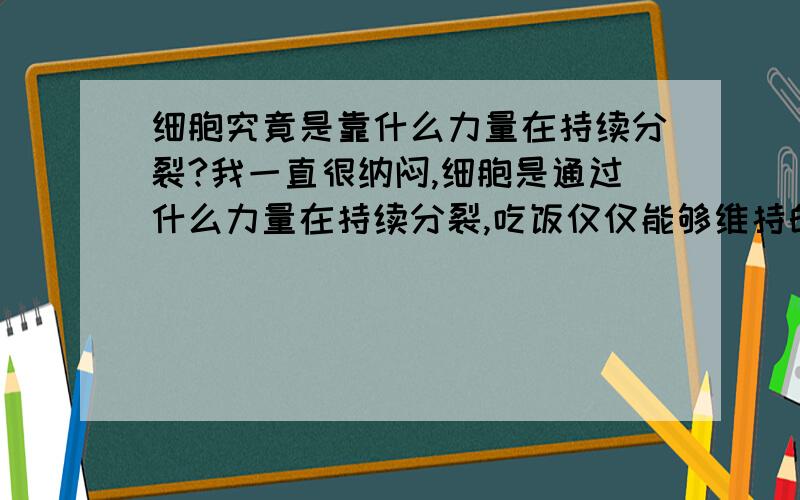 细胞究竟是靠什么力量在持续分裂?我一直很纳闷,细胞是通过什么力量在持续分裂,吃饭仅仅能够维持的是能量的输入,也就是给它一个外力,成为那股力量的索引,而当人死的时候,我想那力量的