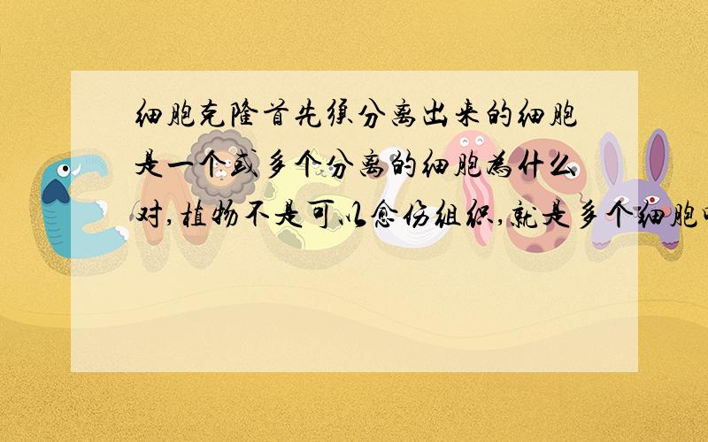 细胞克隆首先须分离出来的细胞是一个或多个分离的细胞为什么对,植物不是可以愈伤组织,就是多个细胞吗