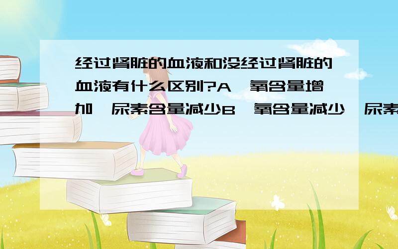 经过肾脏的血液和没经过肾脏的血液有什么区别?A、氧含量增加,尿素含量减少B、氧含量减少,尿素含量增加C、二氧化碳增加,尿素含量增加D、二氧化碳减少,尿素含量减少