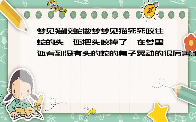 梦见猫咬蛇做梦梦见猫死死咬住蛇的头,还把头咬掉了,在梦里还看到没有头的蛇的身子晃动的很厉害.我是属蛇的,很少梦见蛇的.帮忙解析下吧.