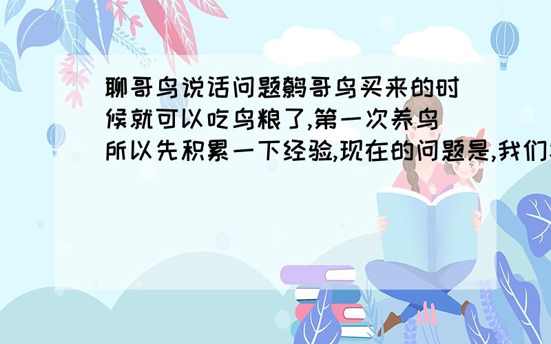 聊哥鸟说话问题鹩哥鸟买来的时候就可以吃鸟粮了,第一次养鸟所以先积累一下经验,现在的问题是,我们家里面我和我母亲每天伺候他,喂食、喝水、洗澡,可是他看见谁都说话,唯独看见我们两