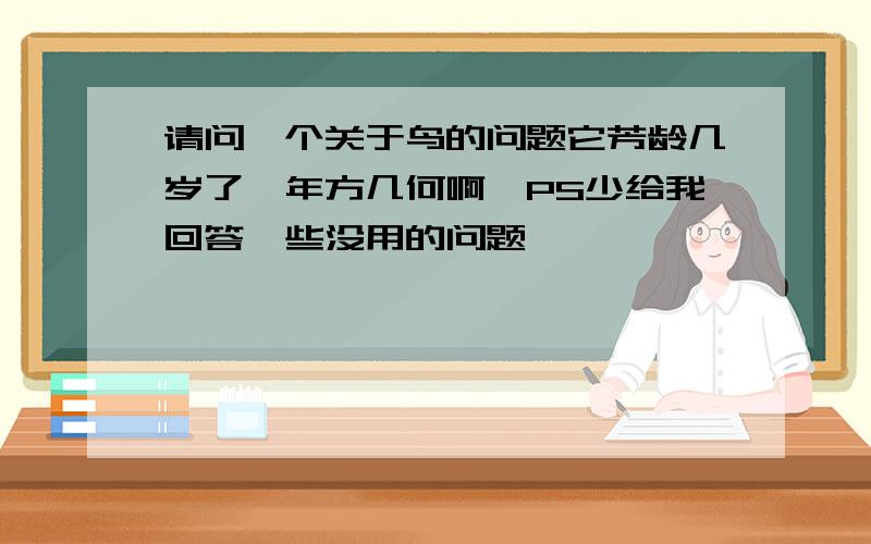 请问一个关于鸟的问题它芳龄几岁了,年方几何啊,PS少给我回答一些没用的问题