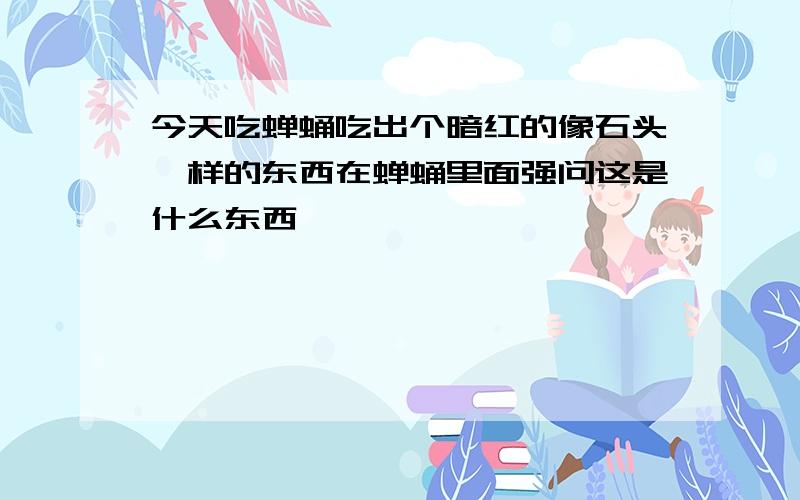 今天吃蝉蛹吃出个暗红的像石头一样的东西在蝉蛹里面强问这是什么东西