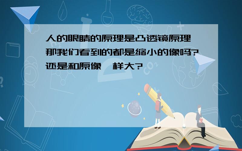 人的眼睛的原理是凸透镜原理,那我们看到的都是缩小的像吗?还是和原像一样大?