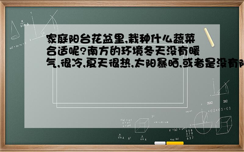 家庭阳台花盆里,栽种什么蔬菜合适呢?南方的环境冬天没有暖气,很冷,夏天很热,太阳暴晒,或者是没有阳光直接照射的